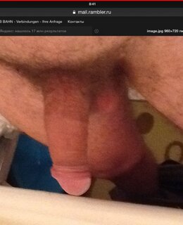 Tiger — фото 5