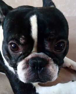 Алексей Ульянов